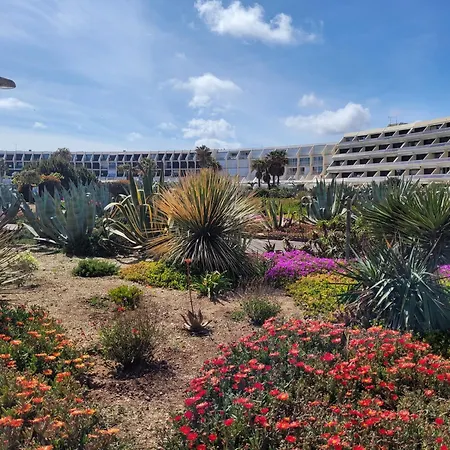 Daire Avec Terrasse Heliopolis Agde